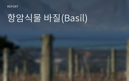 항암식물 바질(Basil)