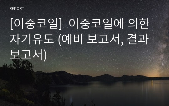 [이중코일]  이중코일에 의한 자기유도 (예비 보고서, 결과보고서)