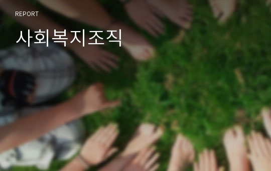 사회복지조직