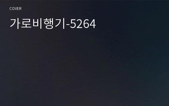 가로비행기-5264