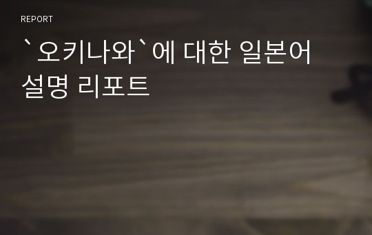 `오키나와`에 대한 일본어 설명 리포트