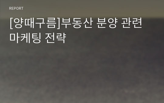 [양때구름]부동산 분양 관련 마케팅 전략