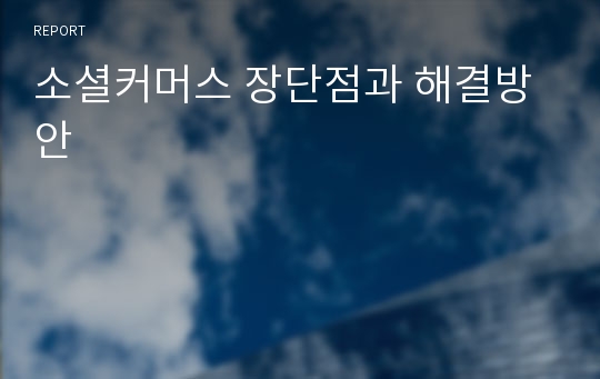 소셜커머스 장단점과 해결방안