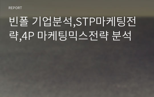 빈폴 기업분석,STP마케팅전략,4P 마케팅믹스전략 분석