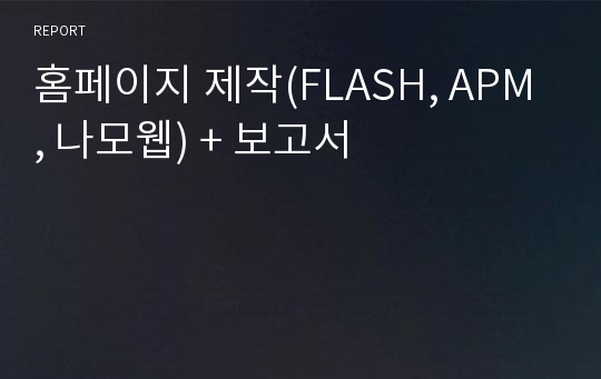 홈페이지 제작(FLASH, APM, 나모웹) + 보고서