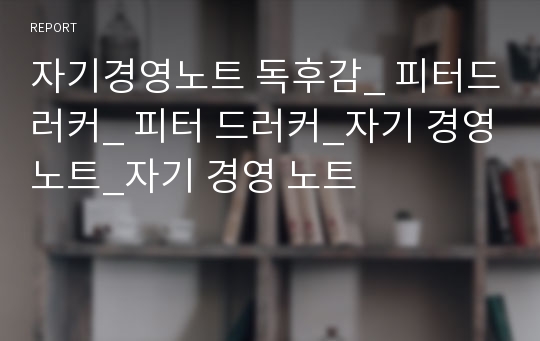 자기경영노트 독후감_ 피터드러커_ 피터 드러커_자기 경영노트_자기 경영 노트