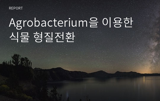 Agrobacterium을 이용한 식물 형질전환