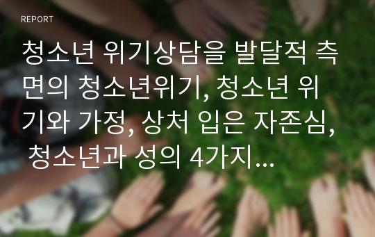 청소년 위기상담을 발달적 측면의 청소년위기, 청소년 위기와 가정, 상처 입은 자존심, 청소년과 성의 4가지 소주제로 나누어 자신의 견해를 쓰시오