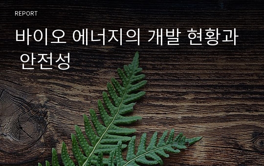 바이오 에너지의 개발 현황과 안전성