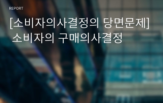 [소비자의사결정의 당면문제] 소비자의 구매의사결정