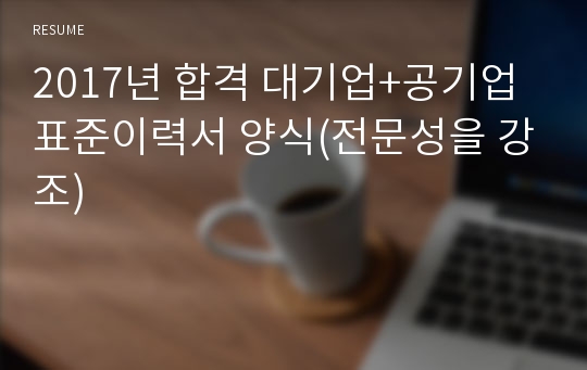 2019년 합격 대기업+공기업 표준이력서 양식(전문성을 강조)