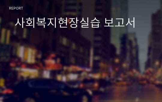   사회복지현장실습 보고서