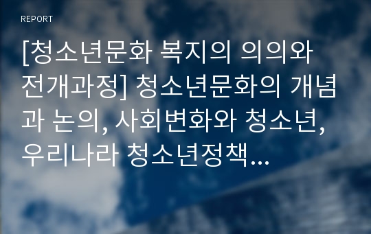 [청소년문화 복지의 의의와 전개과정] 청소년문화의 개념과 논의, 사회변화와 청소년, 우리나라 청소년정책 전개과정에서 문화정책