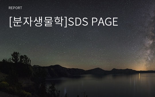 [분자생물학]SDS PAGE