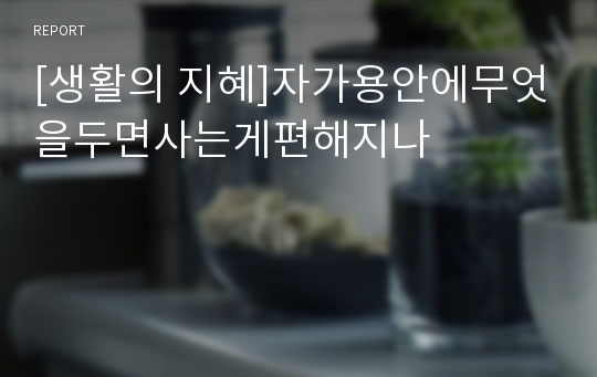 [생활의 지혜]자가용안에무엇을두면사는게편해지나