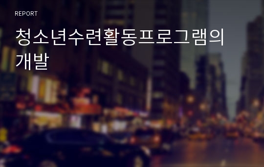 청소년수련활동프로그램의 개발