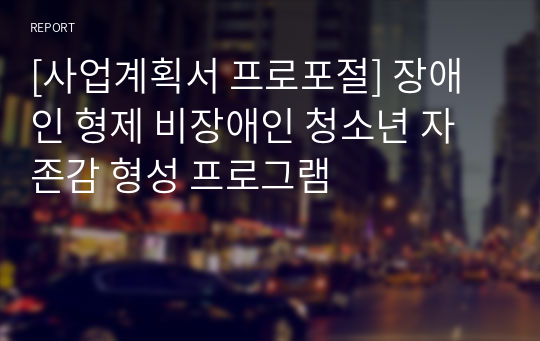 [사업계획서 프로포절] 장애인 형제 비장애인 청소년 자존감 형성 프로그램