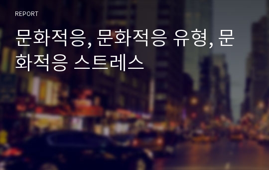 문화적응, 문화적응 유형, 문화적응 스트레스