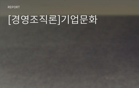 [경영조직론]기업문화