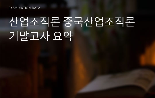 산업조직론 중국산업조직론 기말고사 요약