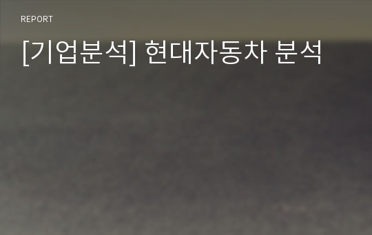 [기업분석] 현대자동차 분석