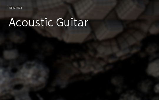 Acoustic Guitar