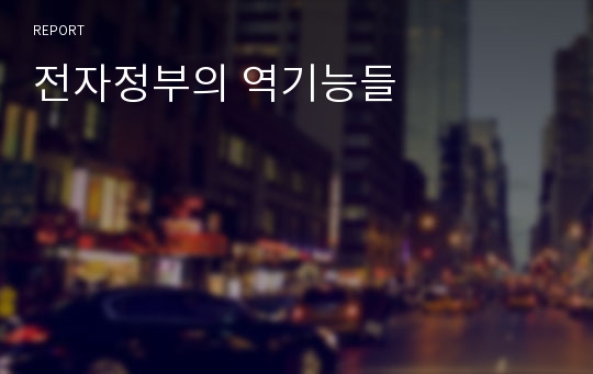 전자정부의 역기능들