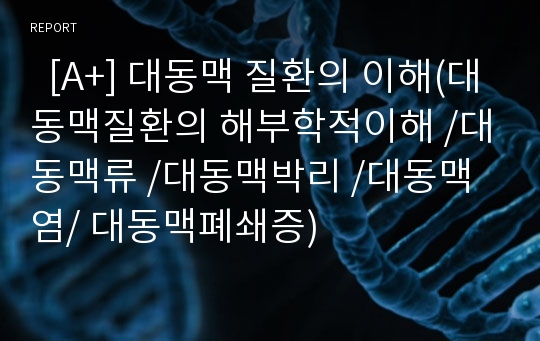   [A+] 대동맥 질환의 이해(대동맥질환의 해부학적이해 /대동맥류 /대동맥박리 /대동맥염/ 대동맥폐쇄증)