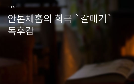 안톤체홉의 희극 `갈매기` 독후감