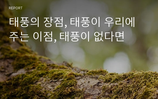 태풍의 장점, 태풍이 우리에 주는 이점, 태풍이 없다면