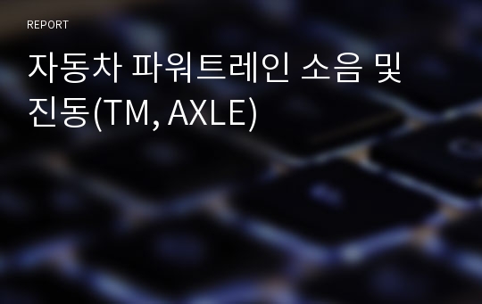 자동차 파워트레인 소음 및 진동(TM, AXLE)