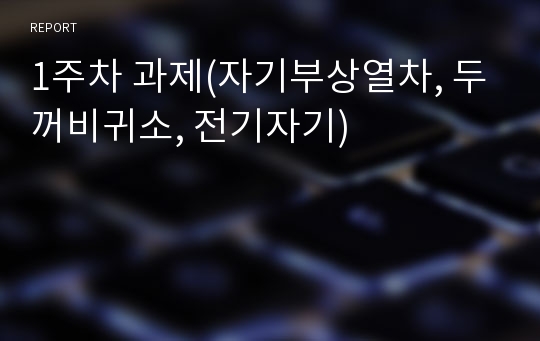 1주차 과제(자기부상열차, 두꺼비귀소, 전기자기)