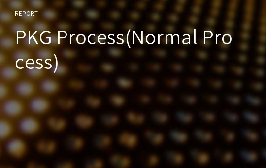 PKG Process(Normal Process)