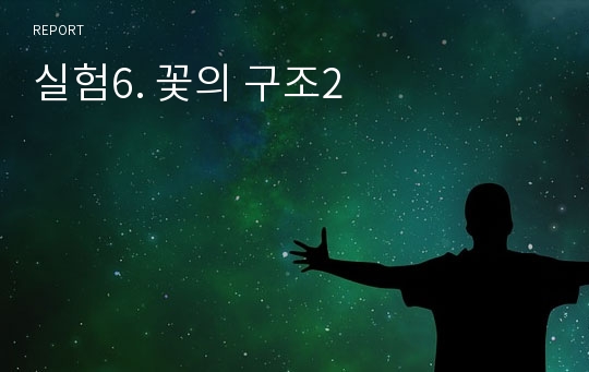 실험6. 꽃의 구조2