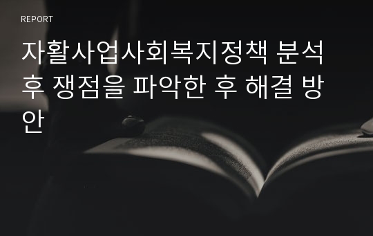 자활사업사회복지정책 분석후 쟁점을 파악한 후 해결 방안