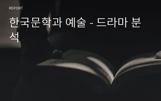 한국문학과 예술 - 드라마 분석