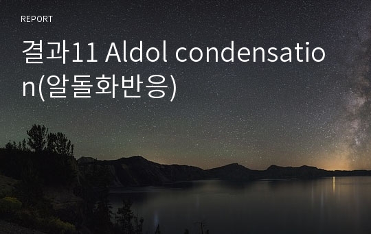 결과11 Aldol condensation(알돌화반응)