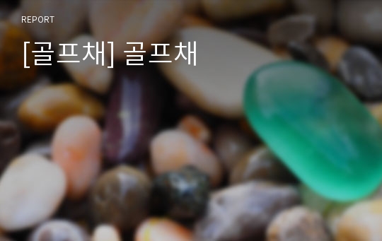 [골프채] 골프채