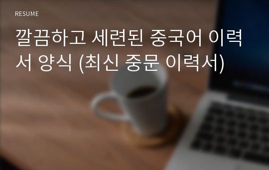 깔끔하고 세련된 중국어 이력서 양식 (최신 중문 이력서)