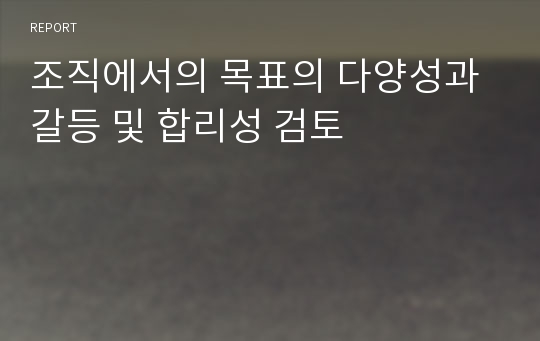 조직에서의 목표의 다양성과 갈등 및 합리성 검토