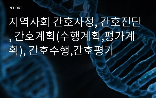 지역사회 간호사정, 간호진단, 간호계획(수행계획,평가계획), 간호수행,간호평가