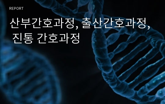 산부간호과정, 출산간호과정, 진통 간호과정