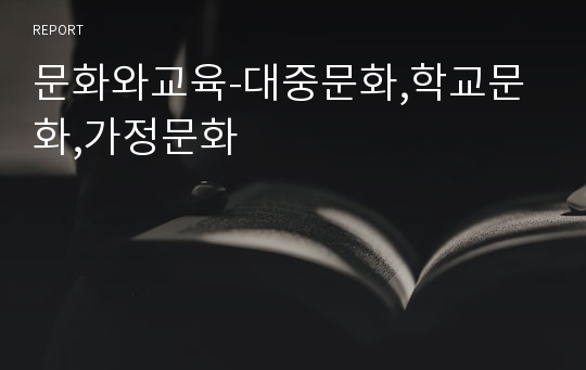 문화와교육-대중문화,학교문화,가정문화