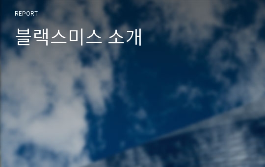 블랙스미스 소개