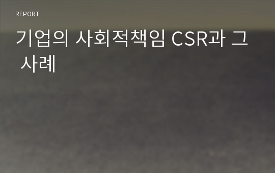 기업의 사회적책임 CSR과 그 사례