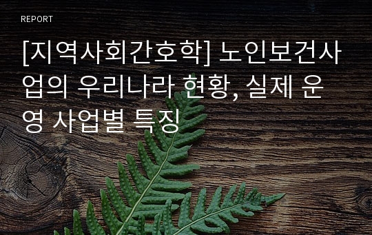 [지역사회간호학] 노인보건사업의 우리나라 현황, 실제 운영 사업별 특징