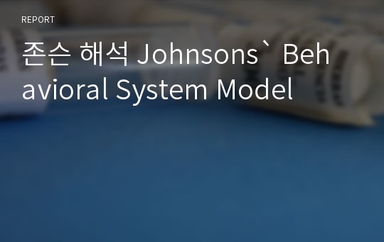 존슨 해석 Johnsons` Behavioral System Model