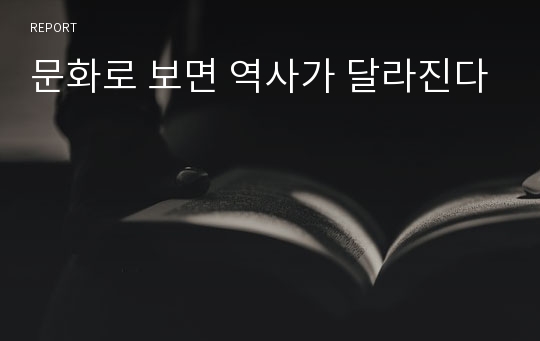 문화로 보면 역사가 달라진다