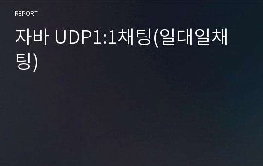 자바 UDP1:1채팅(일대일채팅)