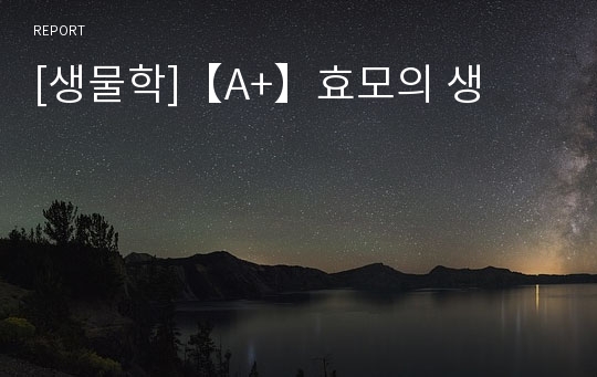 [생물학]【A+】효모의 생